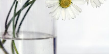 blog image 26.5