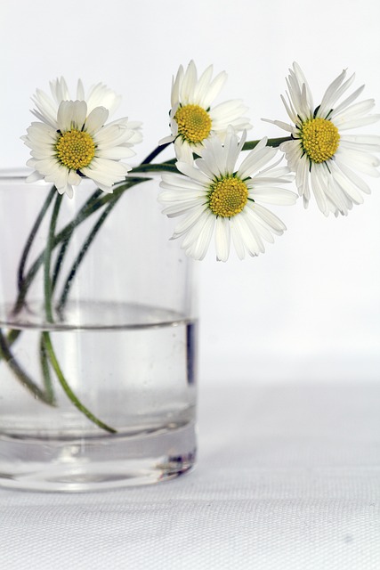 blog image 26.5